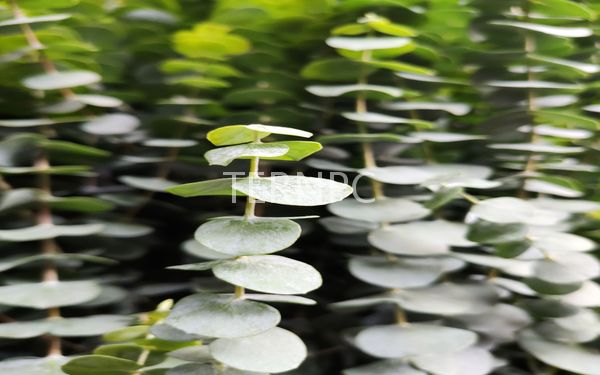 Image13.jpg